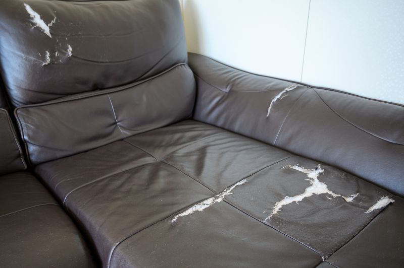 Couch Repair Service